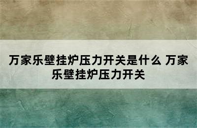 万家乐壁挂炉压力开关是什么 万家乐壁挂炉压力开关